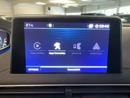 
										Peugeot 3008 (2) Puretech 130 S&S Active Business full									