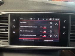 
										Peugeot 308 SW (2) BlueHDi 180 S&S EAT8 GT full									