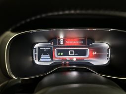 
										Citroën C5 Aircross BlueHDi 130 S&S EAT8 Shine full									